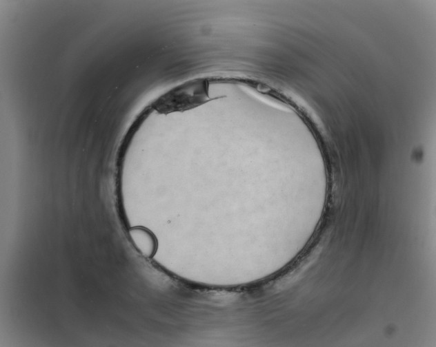 X0000100421085200807032055