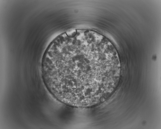 X0000100421087200807032055