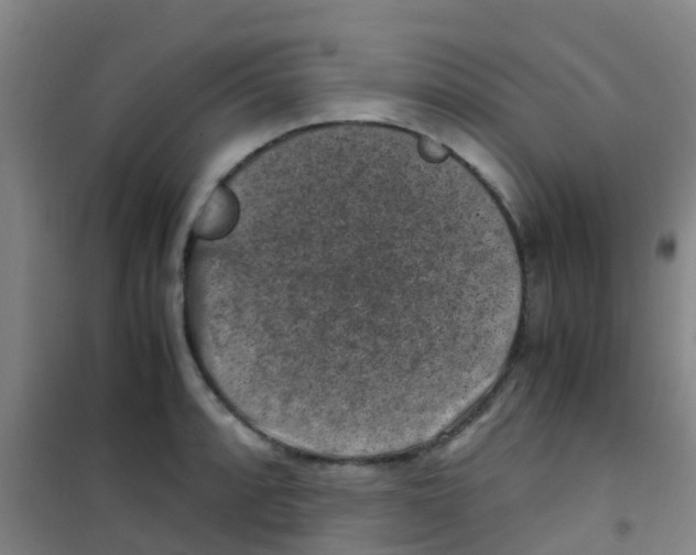 X0000100421088200807032055