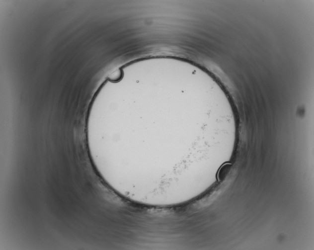 X0000100421089200807032055