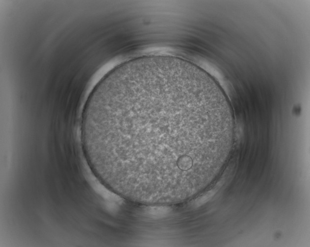 X0000100421090200807032055