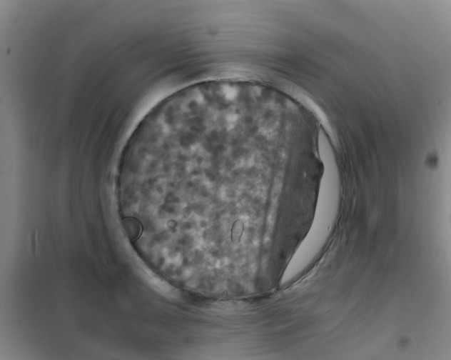 X0000100421091200807032055