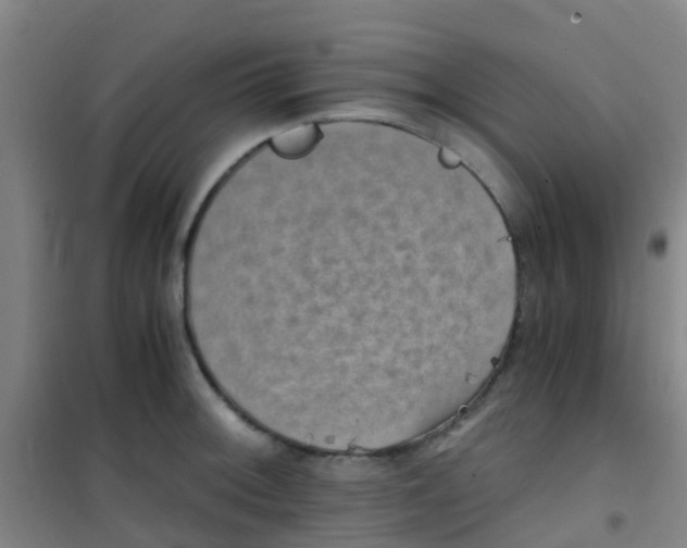 X0000100421092200807032055