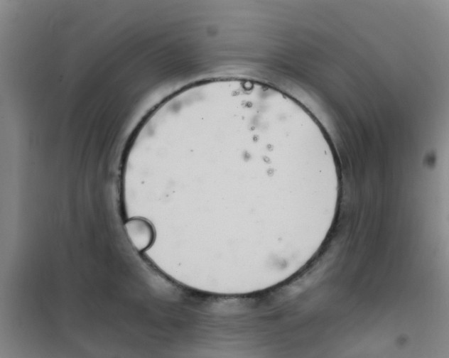 X0000100421093200807032055