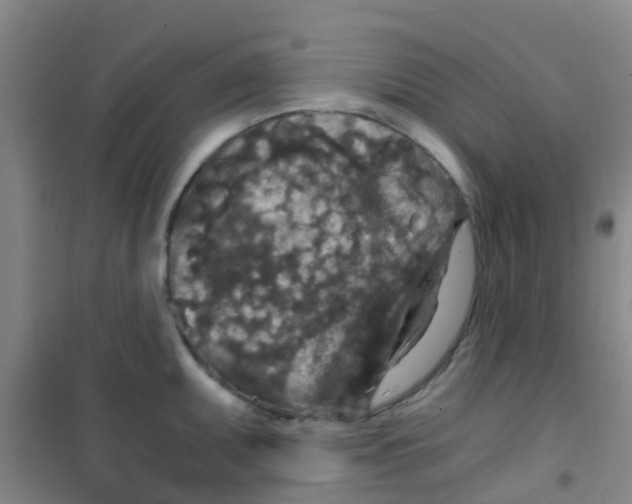 X0000100421095200807032055