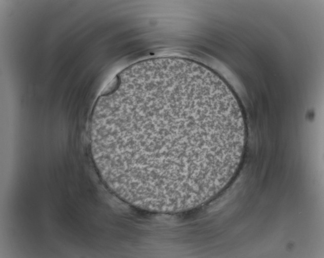 X0000100421097200807032055