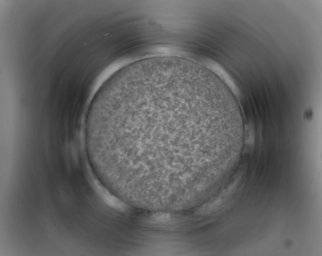 X0000100421098200807032055