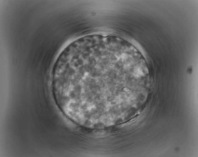 X0000100421099200807032055