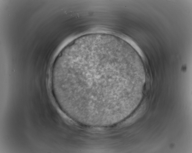 X0000100421101200807032055