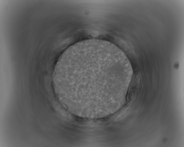 X0000100421105200807032054