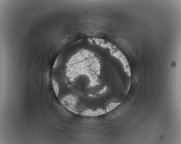 X0000100421106200807032054