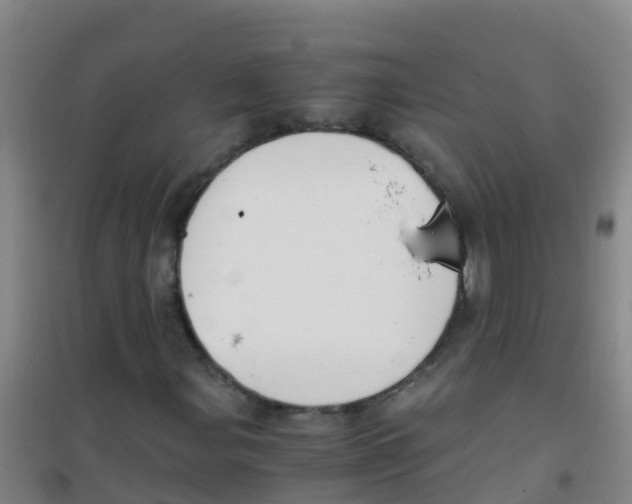 X0000100421107200807032054