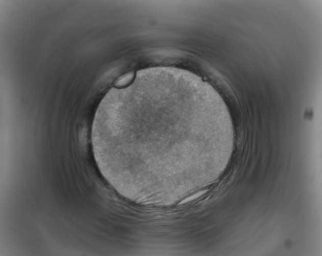 X0000100421108200807032054