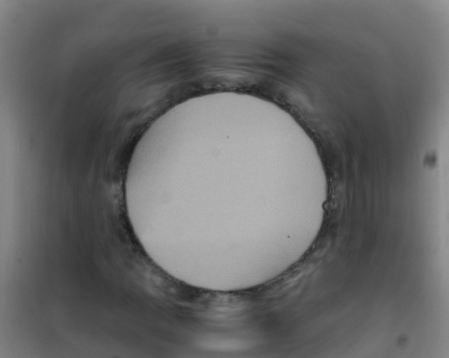 X0000100421109200807032054