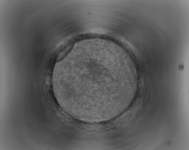 X0000100421110200807032054