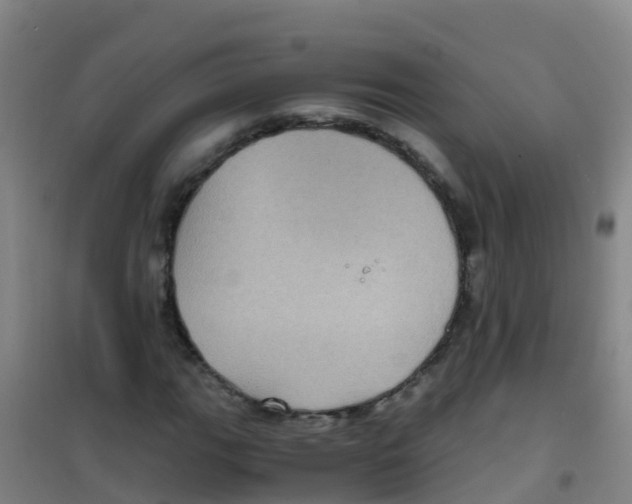 X0000100421111200807032054