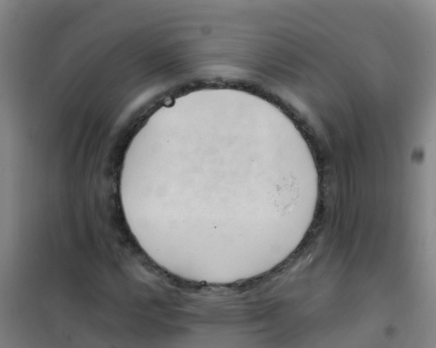 X0000100421112200807032054