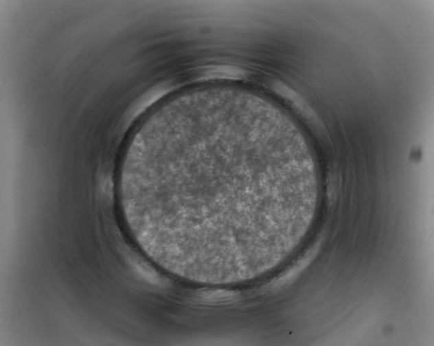 X0000100421113200807032054