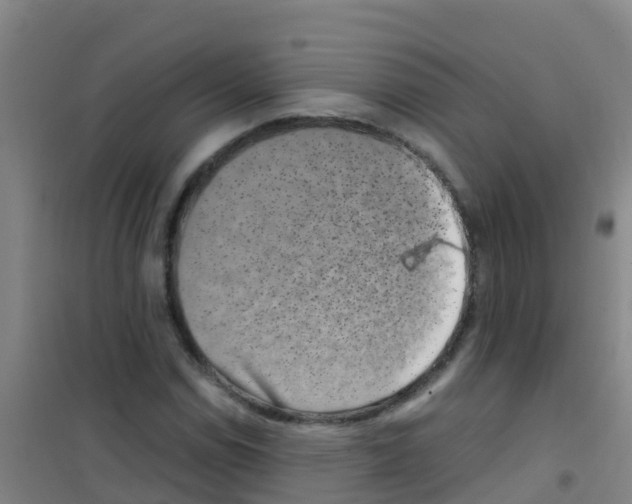 X0000100421114200807032054