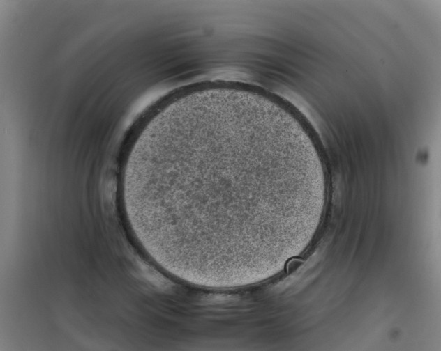 X0000100421115200807032054