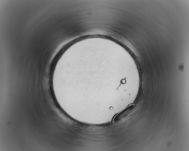 X0000100421116200807032054