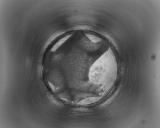 X0000100421117200807032055