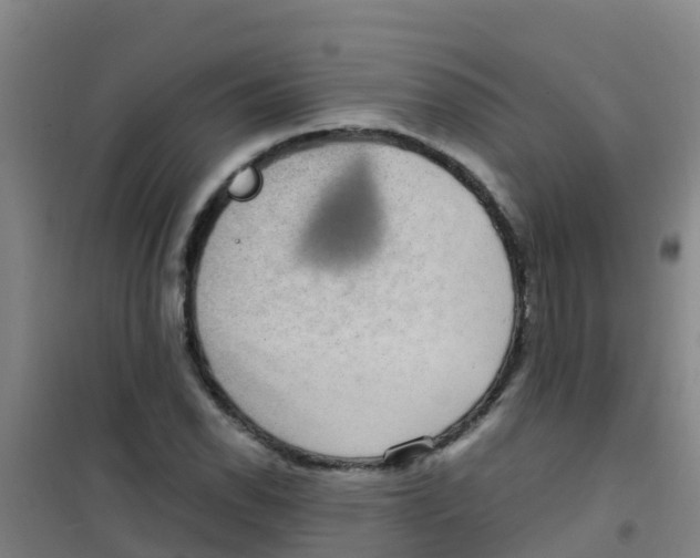 X0000100421118200807032055