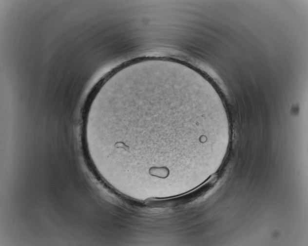 X0000100421122200807032055