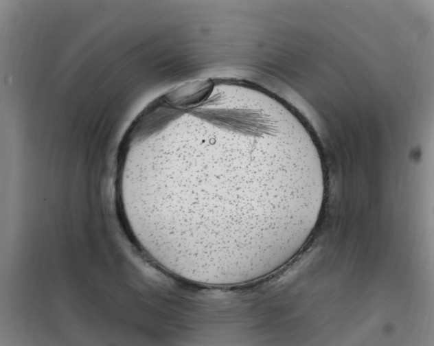 X0000100421124200807032055
