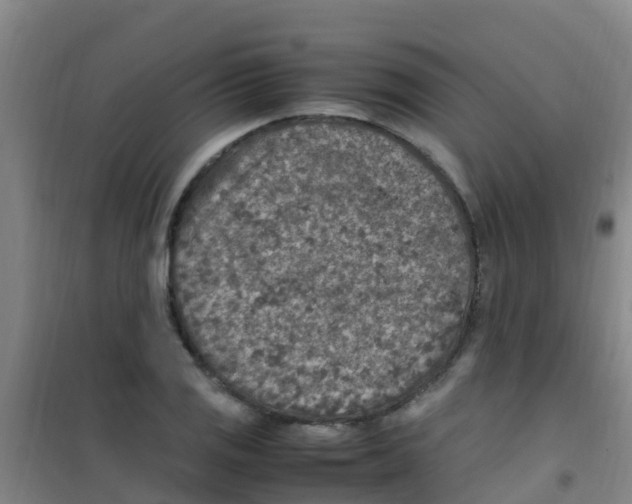 X0000100421125200807032055