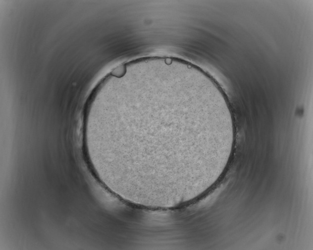 X0000100421126200807032055