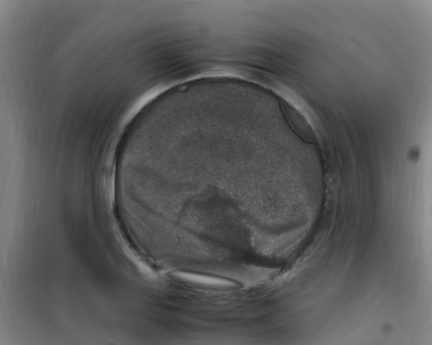 X0000100421127200807032055