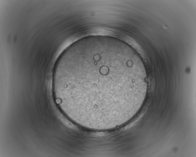 X0000100421130200807032055