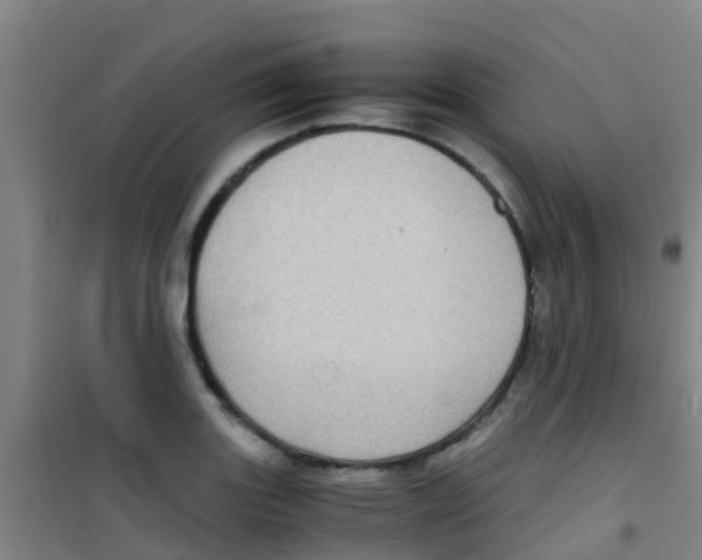 X0000100421131200807032055