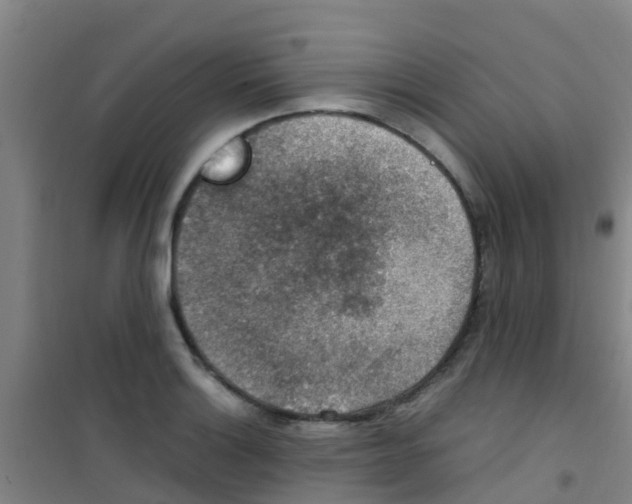 X0000100421132200807032055