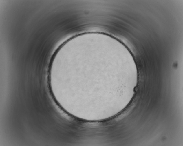 X0000100421134200807032055