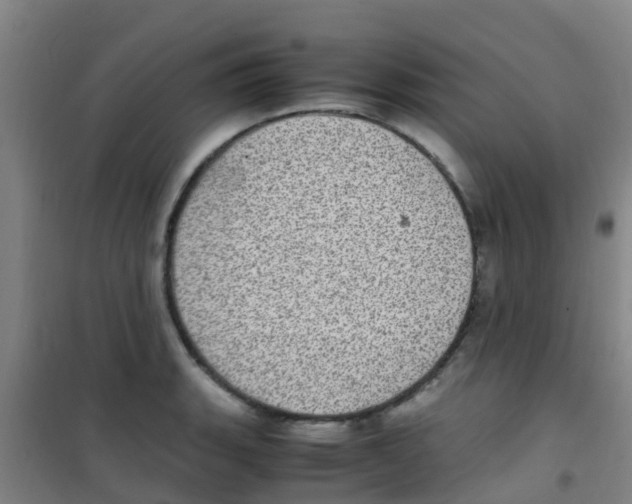 X0000100421135200807032055