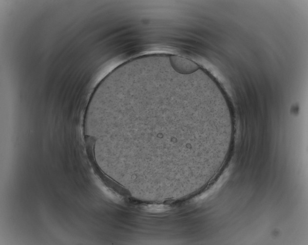 X0000100421137200807032055