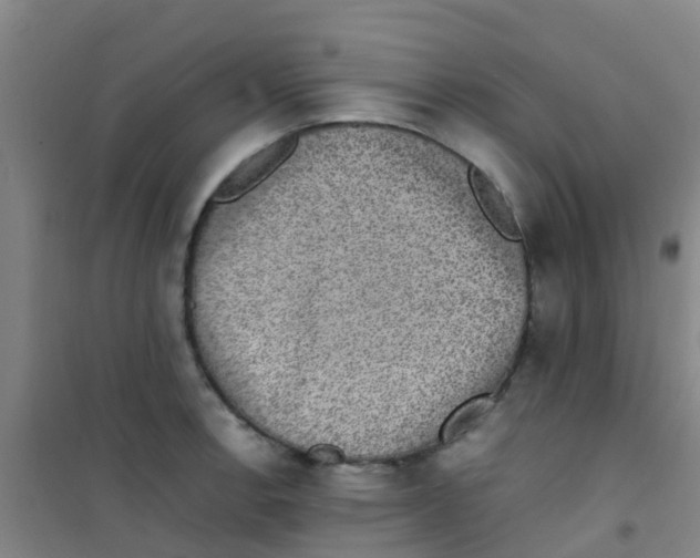 X0000100421138200807032055