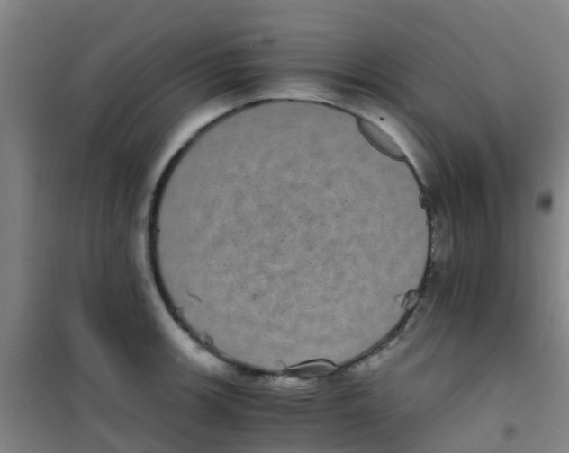 X0000100421139200807032055