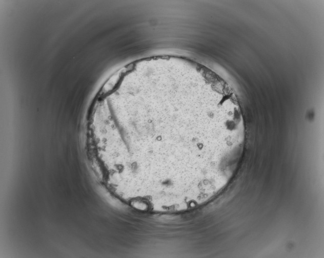 X0000100421140200807032055