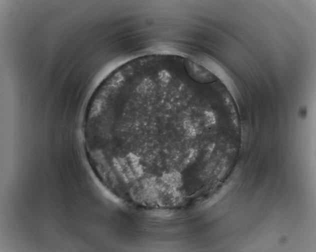 X0000100421141200807032055