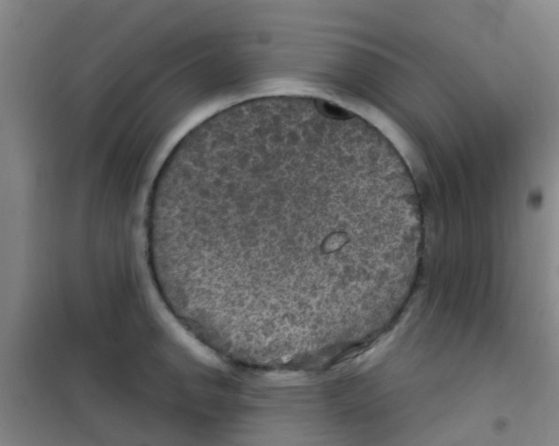 X0000100421142200807032055