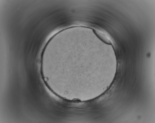 X0000100421143200807032055