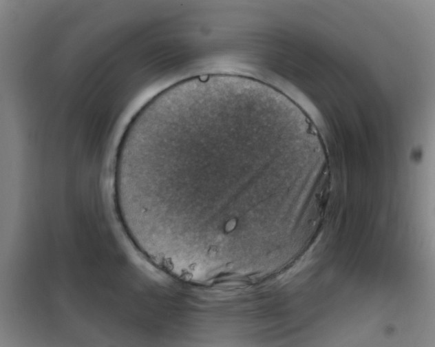 X0000100421144200807032055