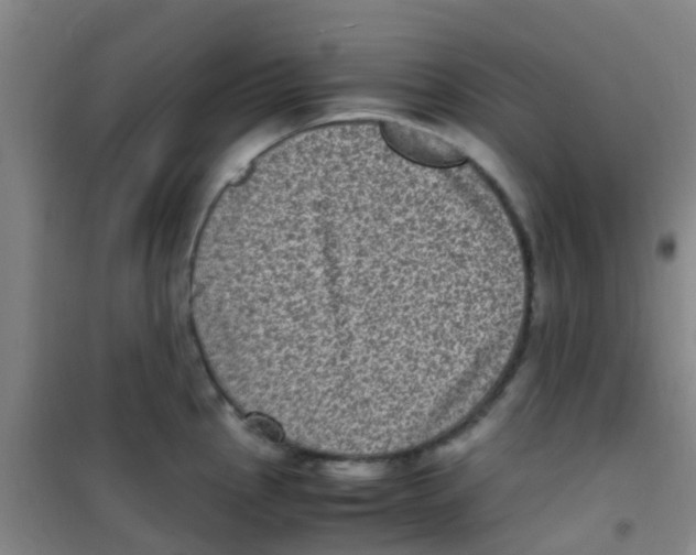 X0000100421145200807032055