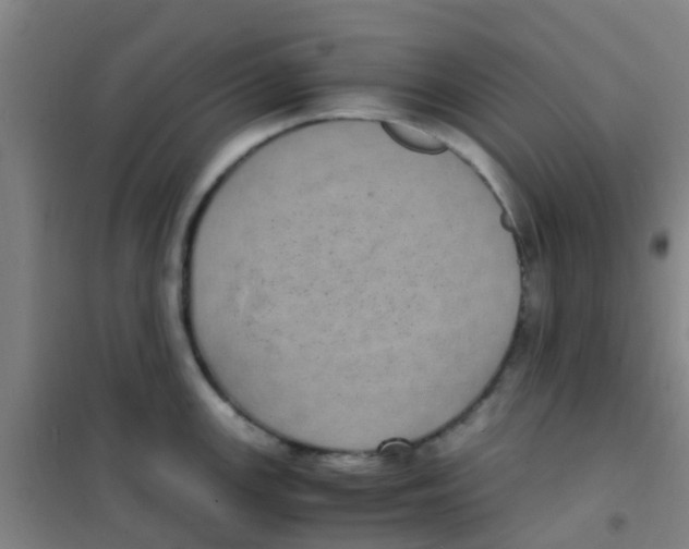 X0000100421147200807032055