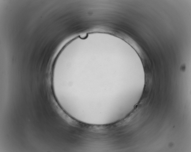 X0000100421148200807032055