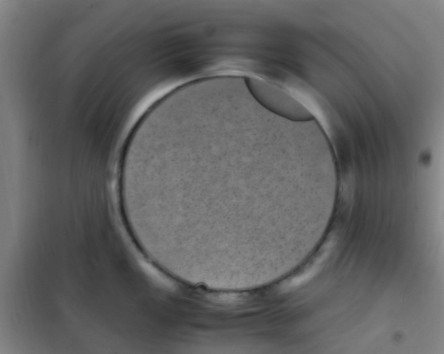 X0000100421149200807032055