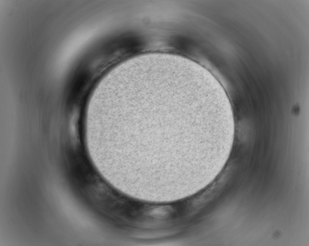 X0000100421150200807032055